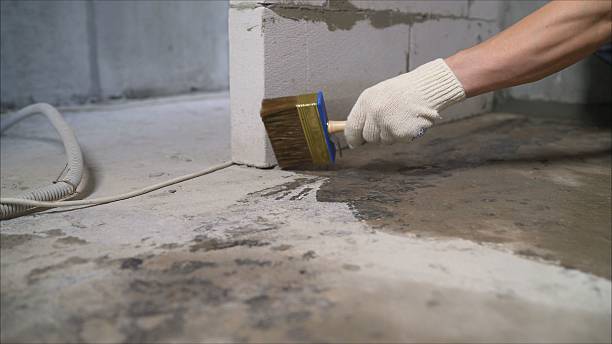 Top rated local Crawl Space Encapsulation specialists in Gosport, IN